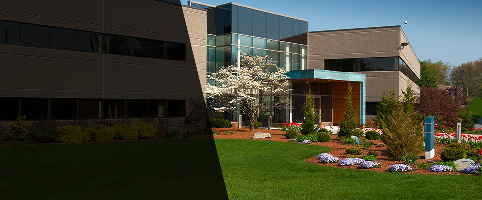 Pottsville Landscapers