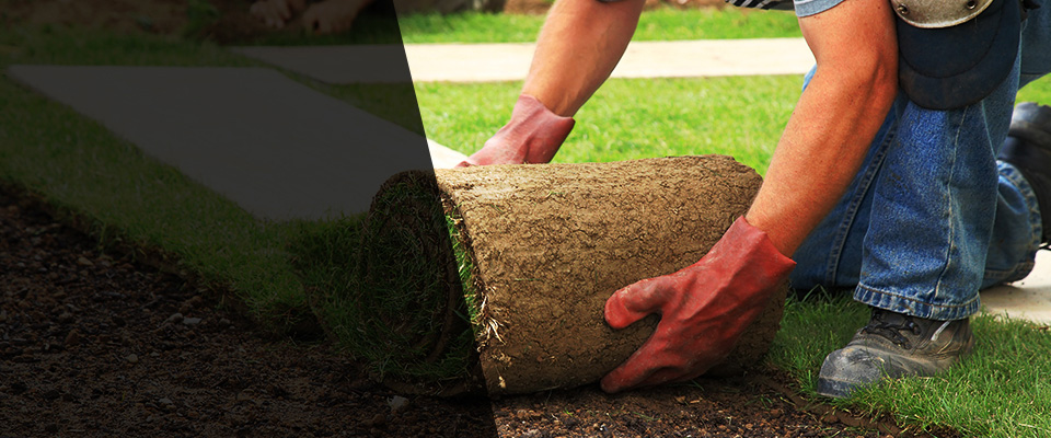 Pottsville Landscapers